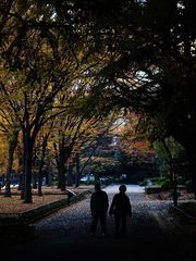 お二人のお散歩コース