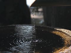 春水