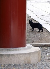 何だ！文句あるか？