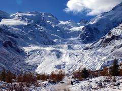 モルテラッチ氷河