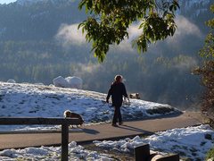 朝靄の中の散歩