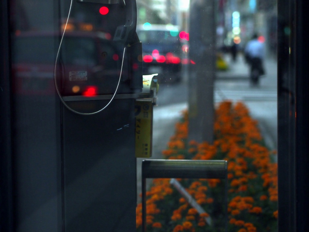夜の巷で・・・電話ボックス