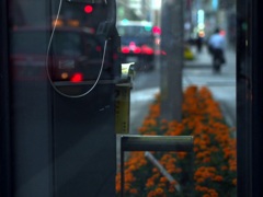 夜の巷で・・・電話ボックス