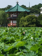 不忍池弁天堂