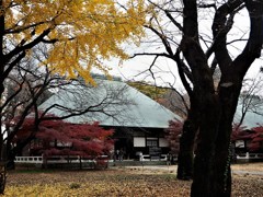 本堂（九品仏・浄真寺）