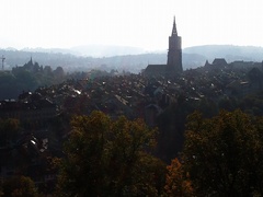 旧市街の家並(バラ公園より)