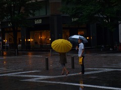 雨も、また愉しからずや