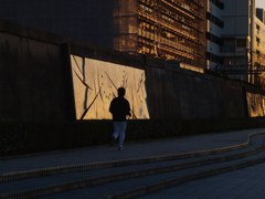 西陽が造ったスクリーン（勝鬨橋テラス）