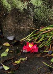 冬の終止符・・