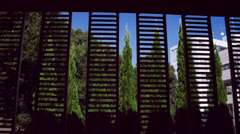 エヴァーグリーン