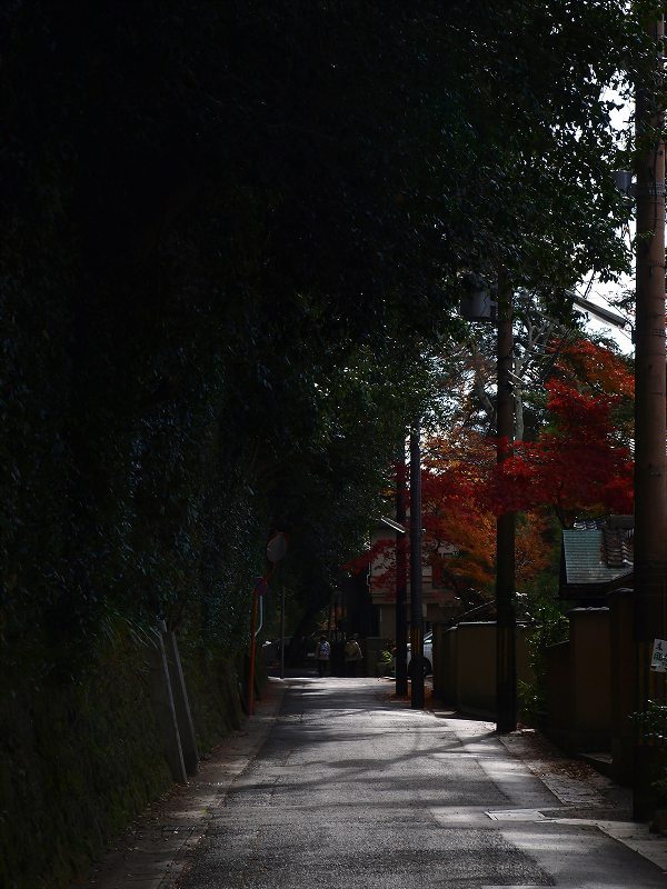 法然院への道