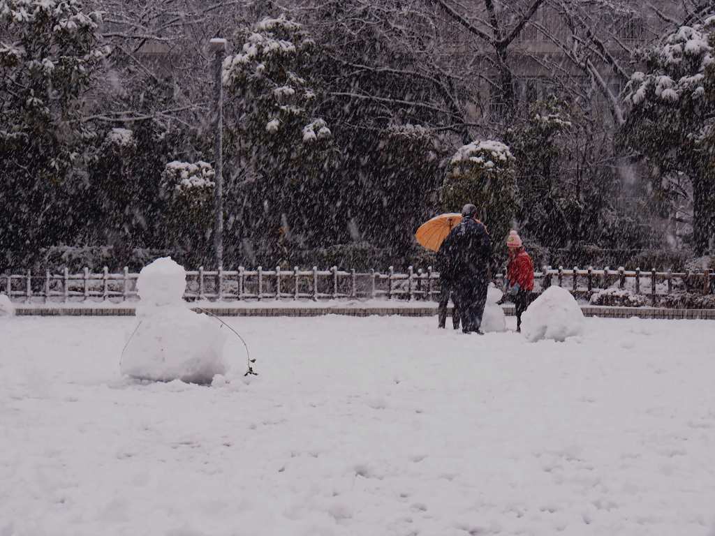 雪遊び