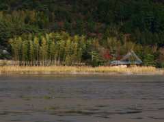 水抜きされた広沢の池