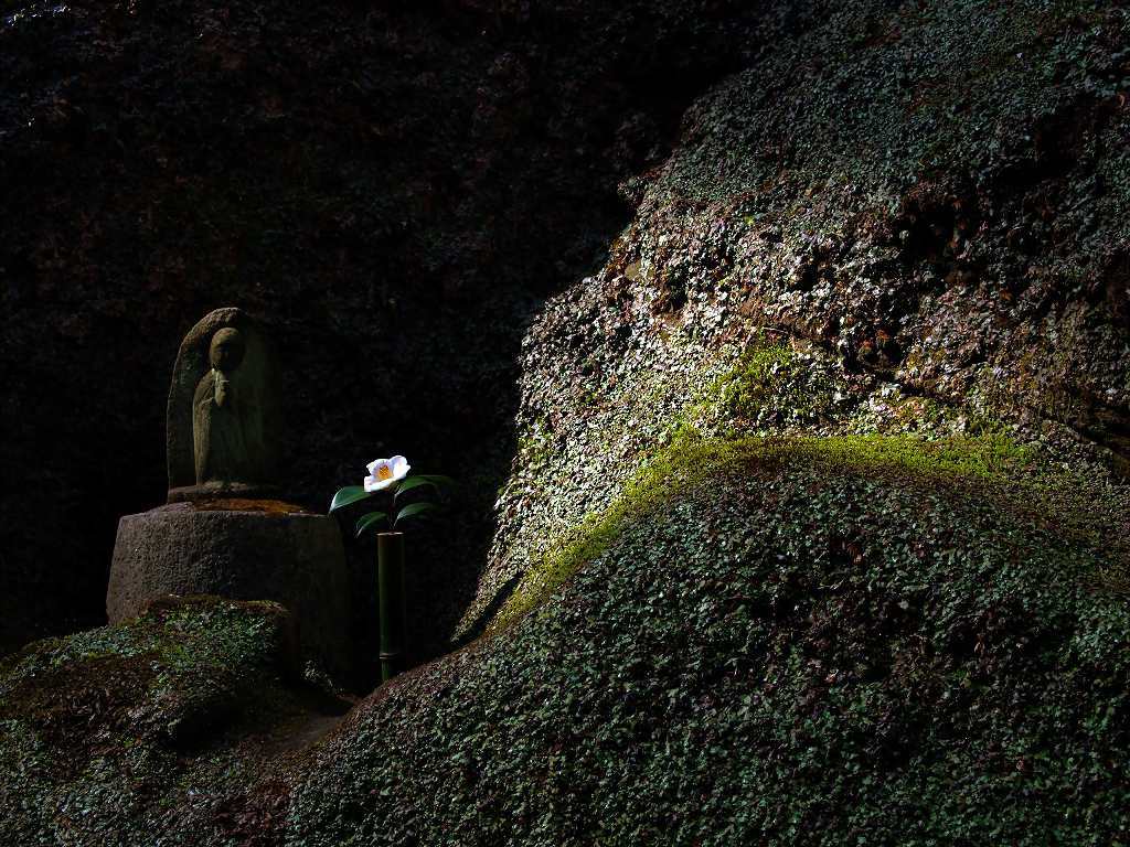 花一輪生けて・・