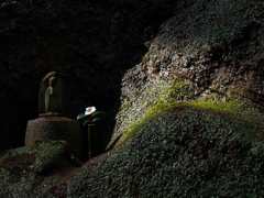 花一輪生けて・・