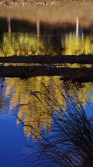 水彩（奈良東大寺）