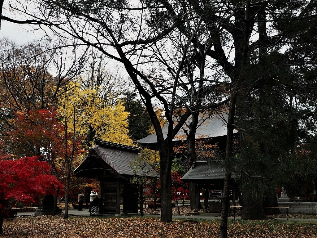 山門（九品仏・浄真寺）