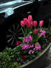 車輪と花と（丸の内仲通）