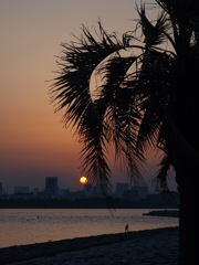 夕陽のカメラマン