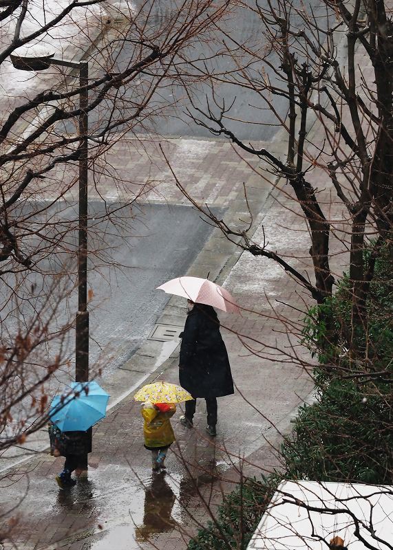 雪の朝のお出かけ