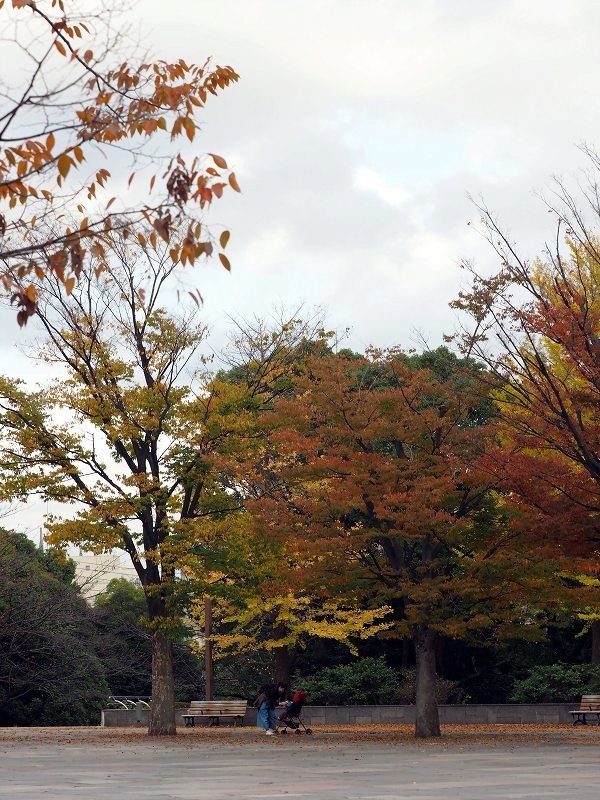 公園の秋