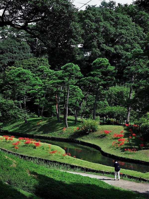 彼岸花の咲く庭園