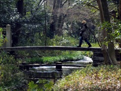 冬の泉川（糺の森）