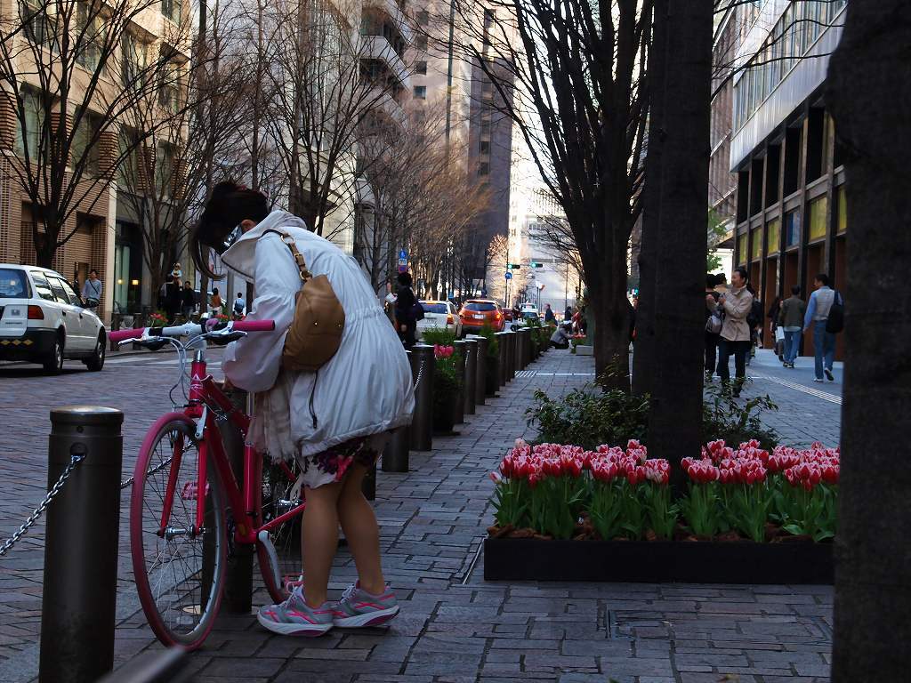 チューリップフェアーの街筋