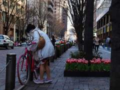 チューリップフェアーの街筋