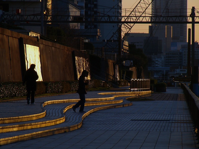 西陽が描いた曲線