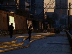 西陽が描いた曲線