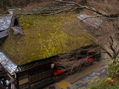 平野屋のわらぶき屋根(鳥居本)
