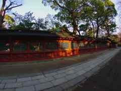 根津神社参道