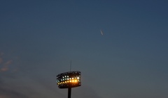 競技場の空
