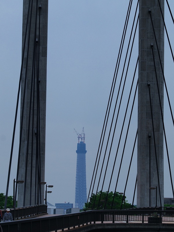 道半ば(スカイツリー)