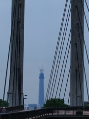 道半ば(スカイツリー)