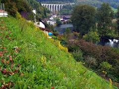 サンチュルサンヌ村に至る途中の風景