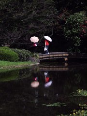 厳しかった残暑