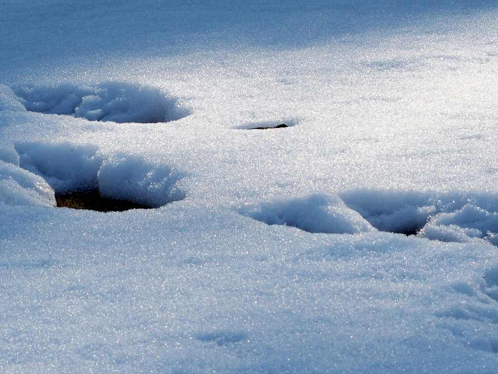 残雪の足跡
