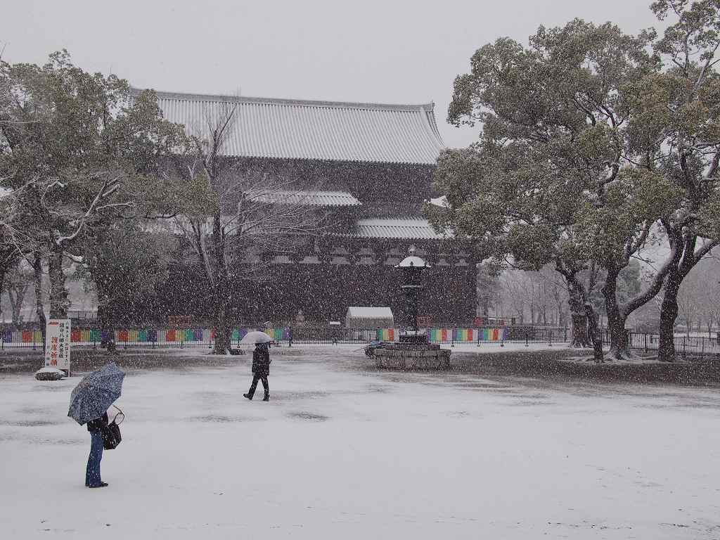 雪の東寺境内