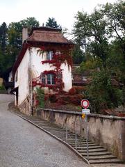 蔦紅葉の家(ポラントリュイ)