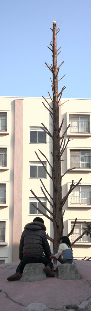 木の下でおはなし