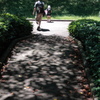 昭和記念公園