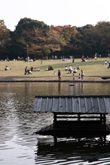 憩いの公園