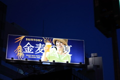 金麦