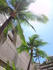 Royal Hawaiian Center前にて