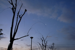 R0010048