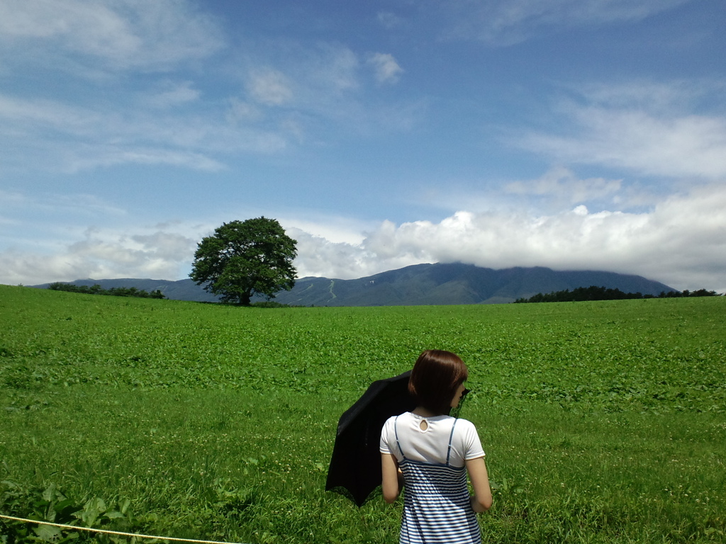 夏のさくら．．．