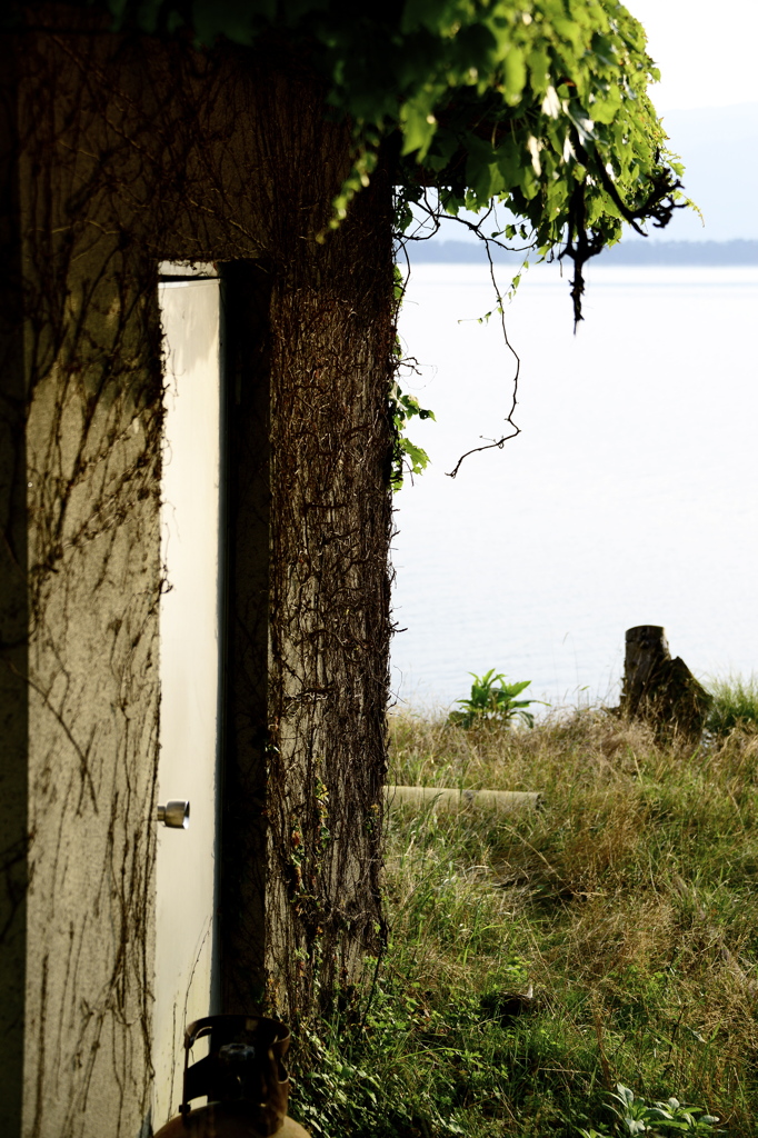 Old Door