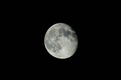 月撮った。